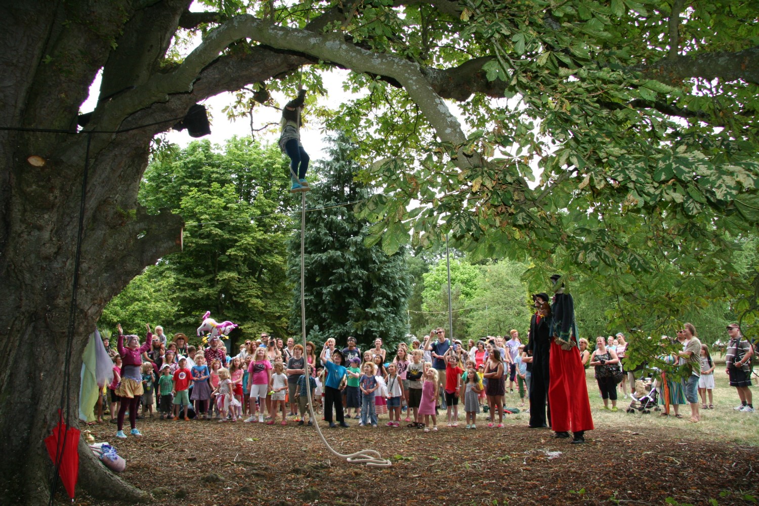 A person abseiling from a tree. Under the tree, there is an audience of mostly children. Performers on stilts stand on the side.